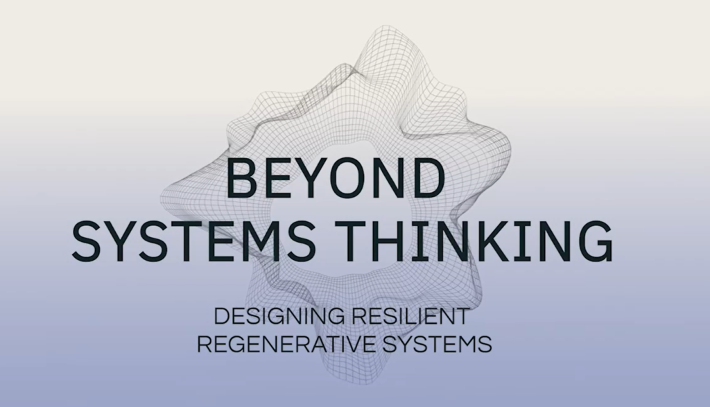 Beyond Systems Thinking