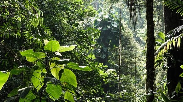 Environmental SDG Indicators