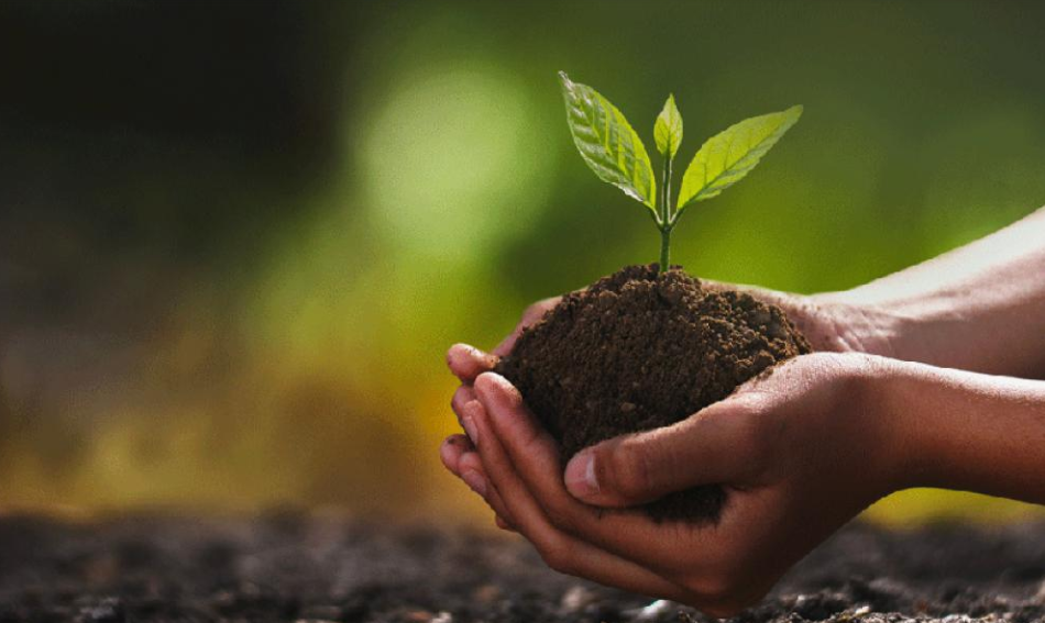 Sustainable Lifestyles