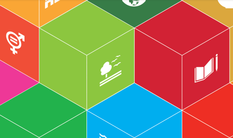 The SDG Primer