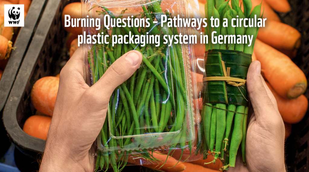 Burning Questions - Pathways to a Circular Plastic Packaging System in Germany