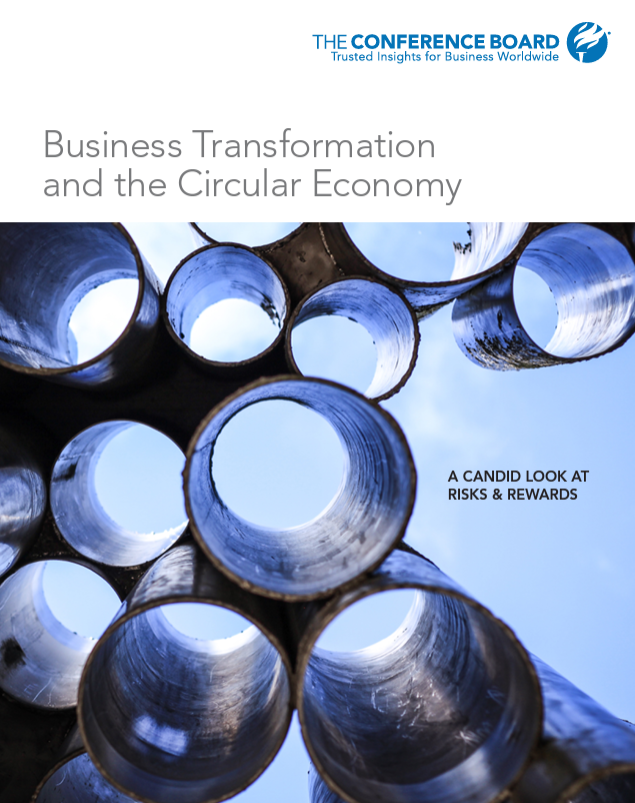 Business Transformation and the Circular Economy