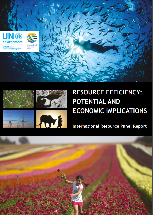 Resource Efficiency: Potential and Economic Implications