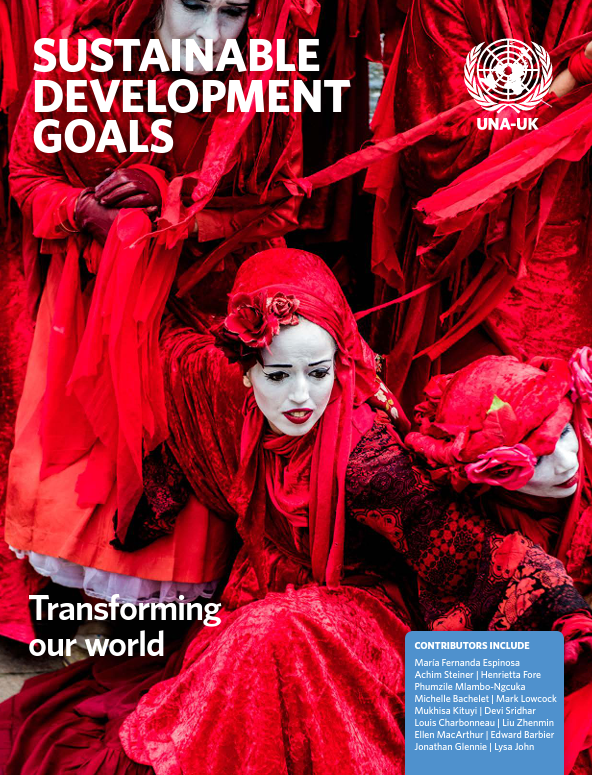 Transforming Our World